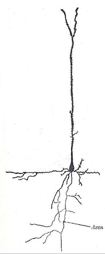 Fig. 627