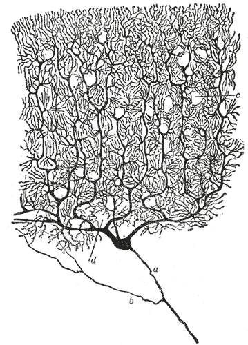 Fig. 628