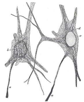 Fig. 629