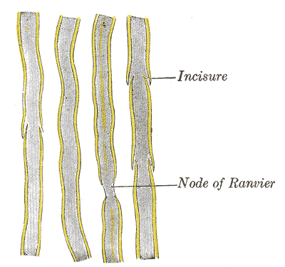 Fig. 630