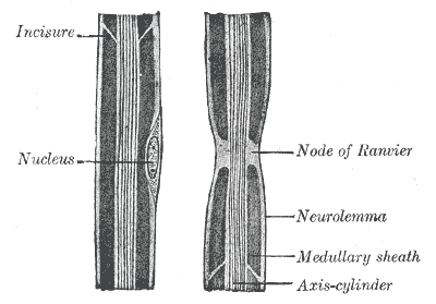 Fig. 631