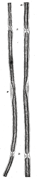Fig. 633