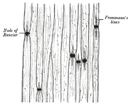 Fig. 634