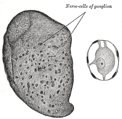 Fig. 639