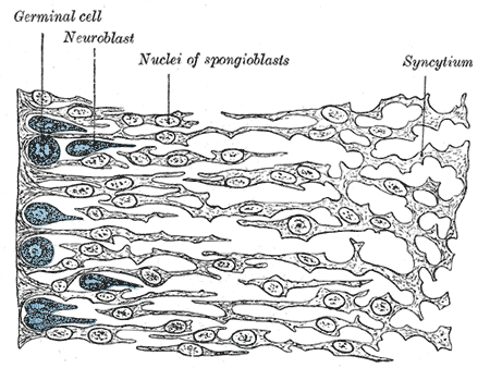 Fig. 641