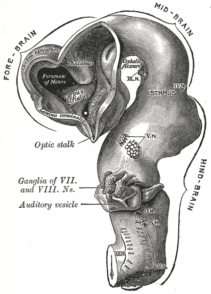 Fig. 651