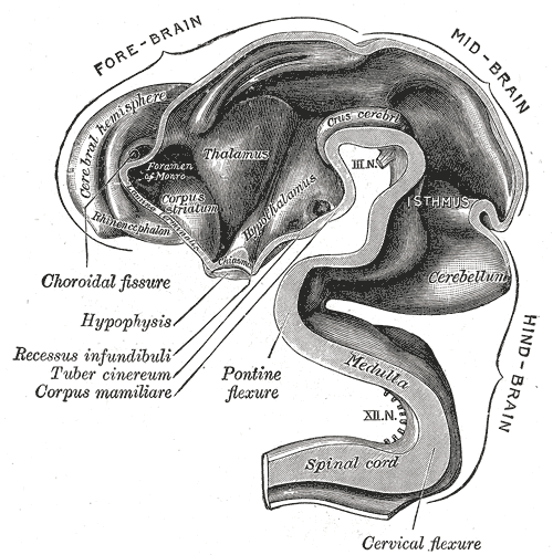 Fig. 653
