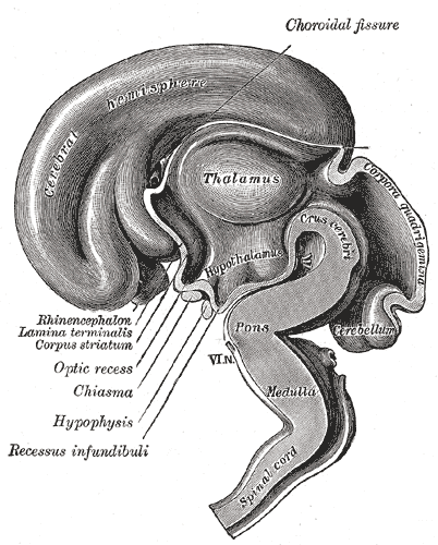 Fig. 654