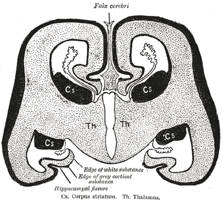 Fig. 656
