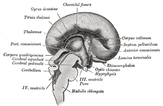 Fig. 657