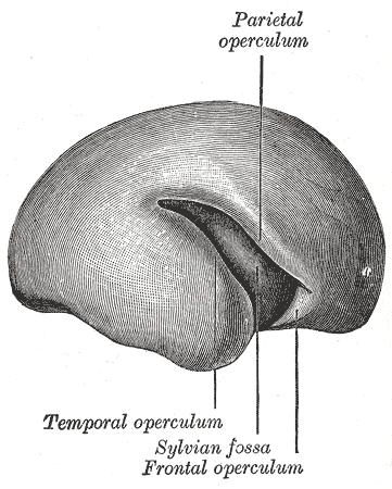Fig. 658