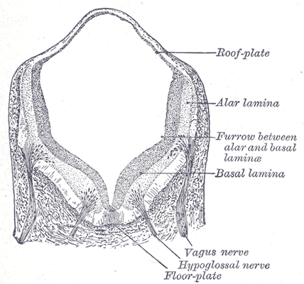 Fig. 659
