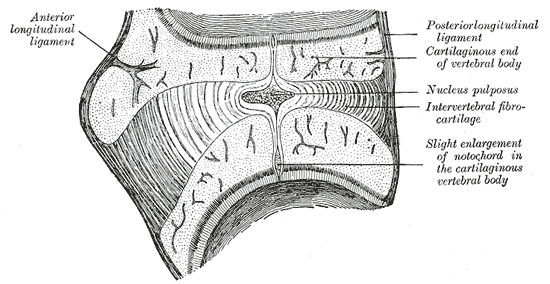 Fig. 66