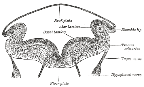 Fig. 660