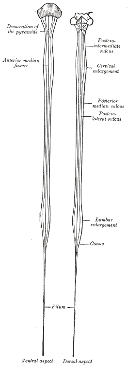 Fig. 663