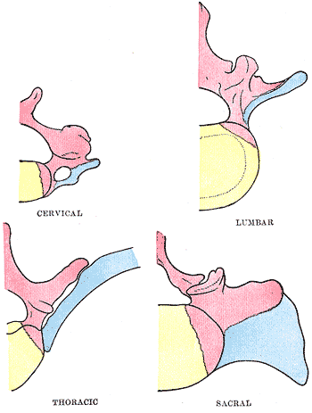 Fig. 67