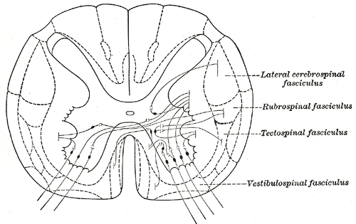 Fig. 670