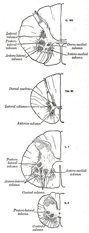 Fig. 671