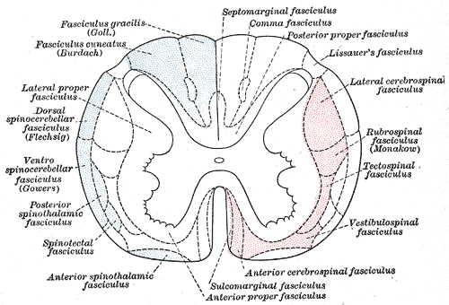 Fig. 672