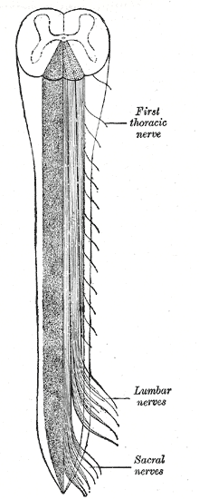 Fig. 673