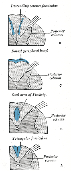 Fig. 674
