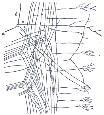 Fig. 676