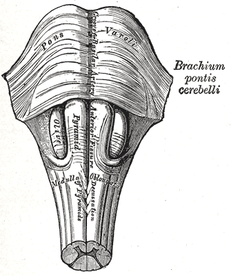Fig. 679