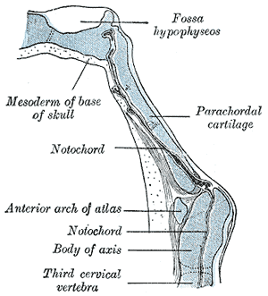 Fig. 68