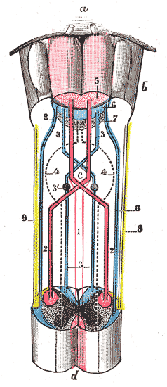 Fig. 680