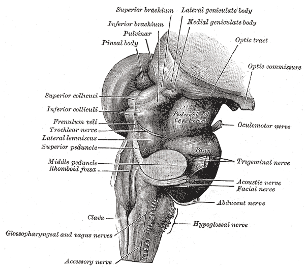 Fig. 681