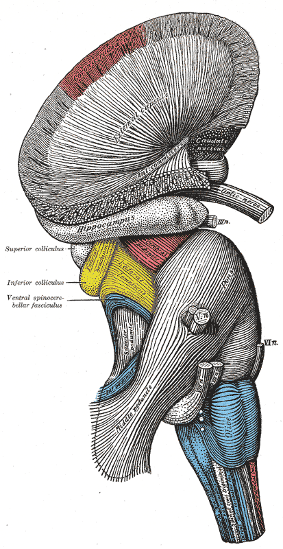 Fig. 682