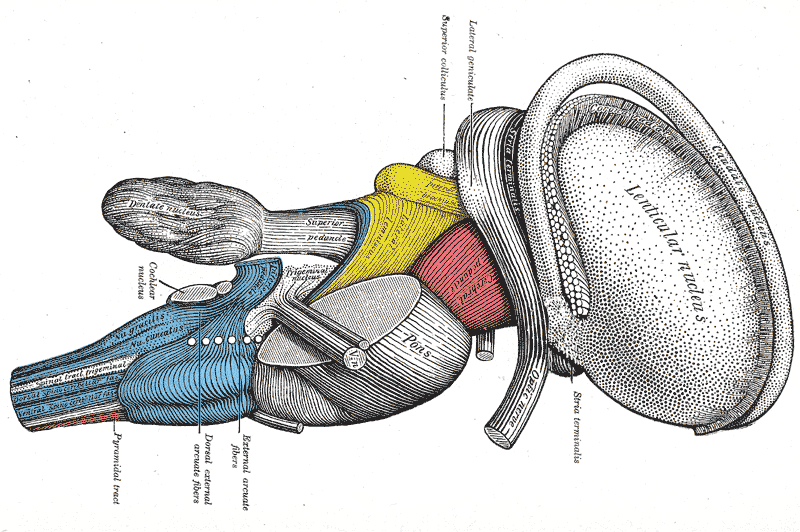 Fig. 683