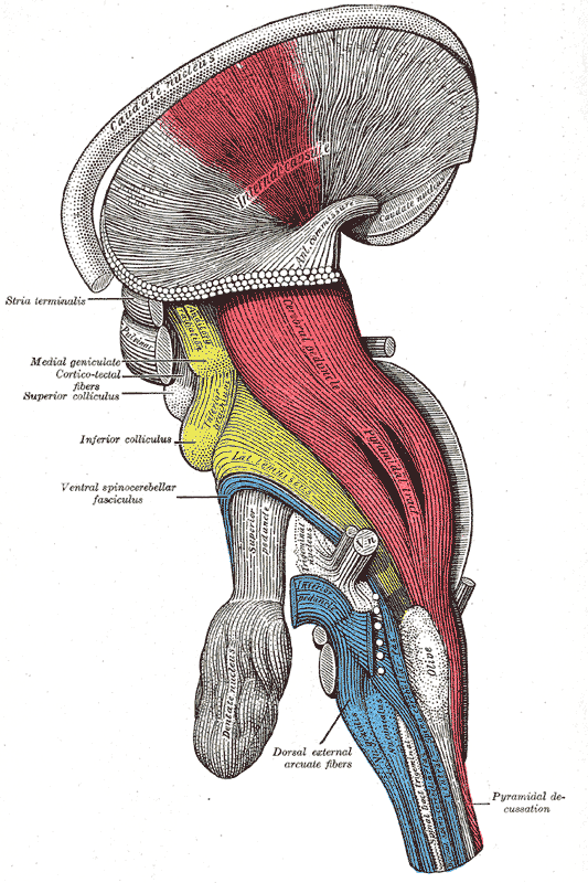 Fig. 684