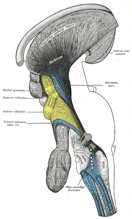 Fig. 685
