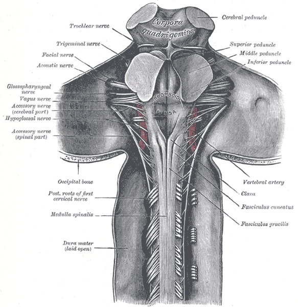 Fig. 686