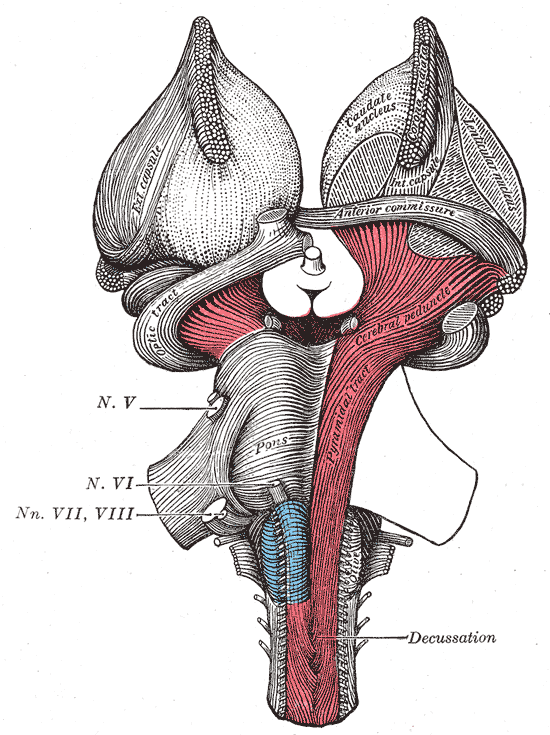 Fig. 689