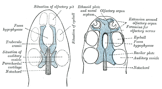 Fig. 69