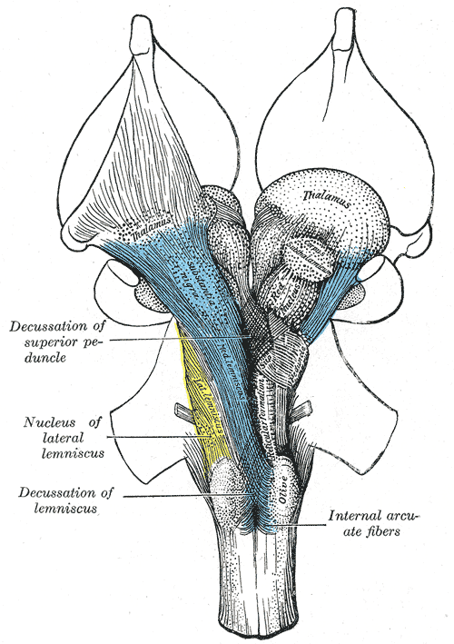 Fig. 690