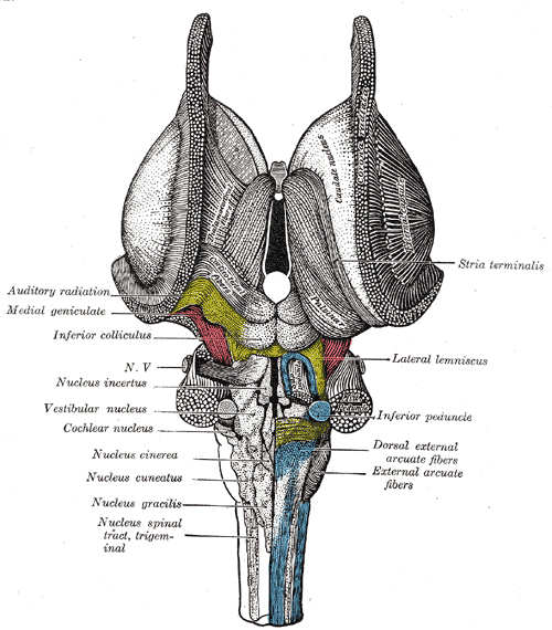 Fig. 691