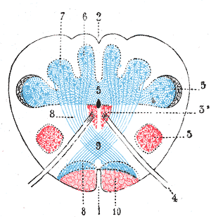 Fig. 693