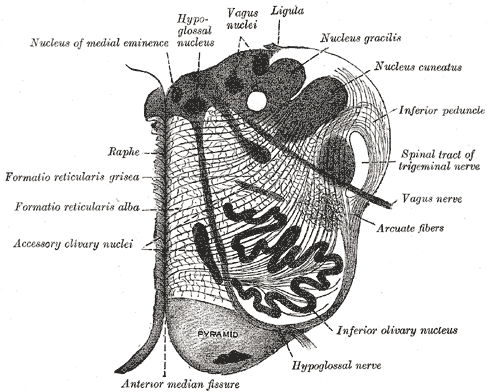 Fig. 694