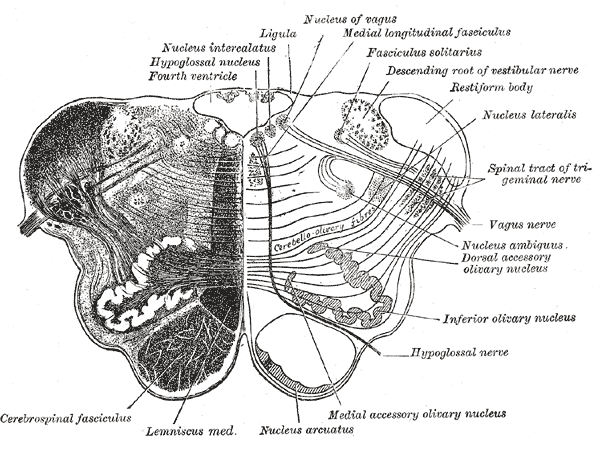 Fig. 695
