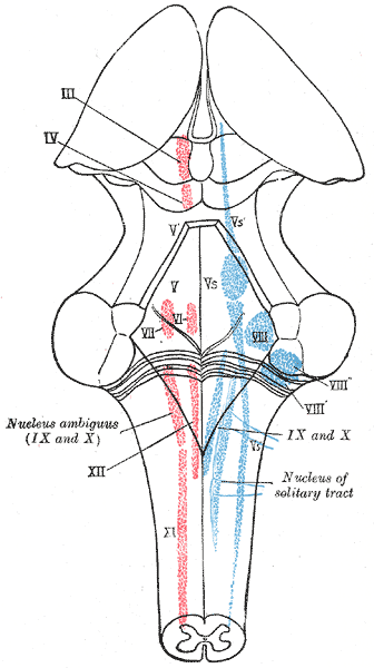 Fig. 696
