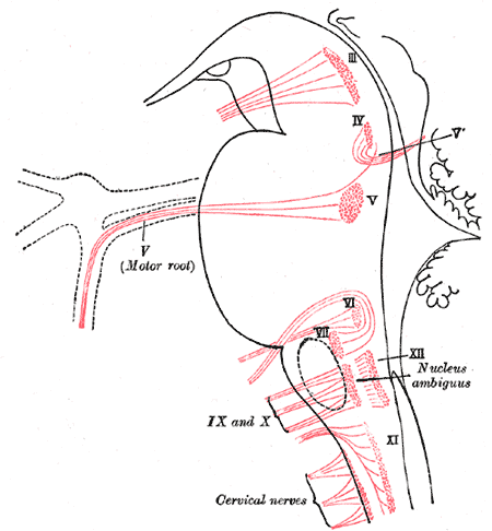 Fig. 697