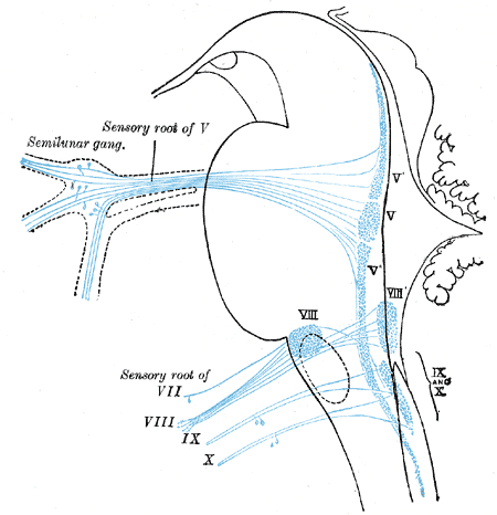 Fig. 698