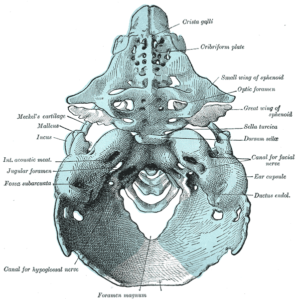 Fig. 70