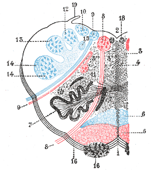 Fig. 700