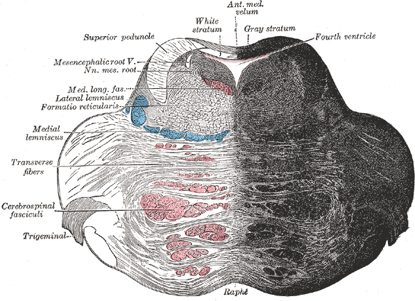 Fig. 701