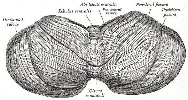Fig. 702