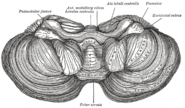 Fig. 703